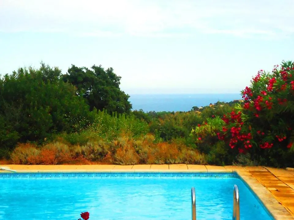 Grande Villa Provencale Pour 10 Personnes Avec Piscine Cavalaire-sur-Mer